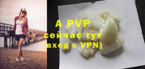 PSILOCYBIN Осташков