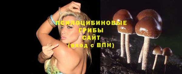 таблы Алзамай